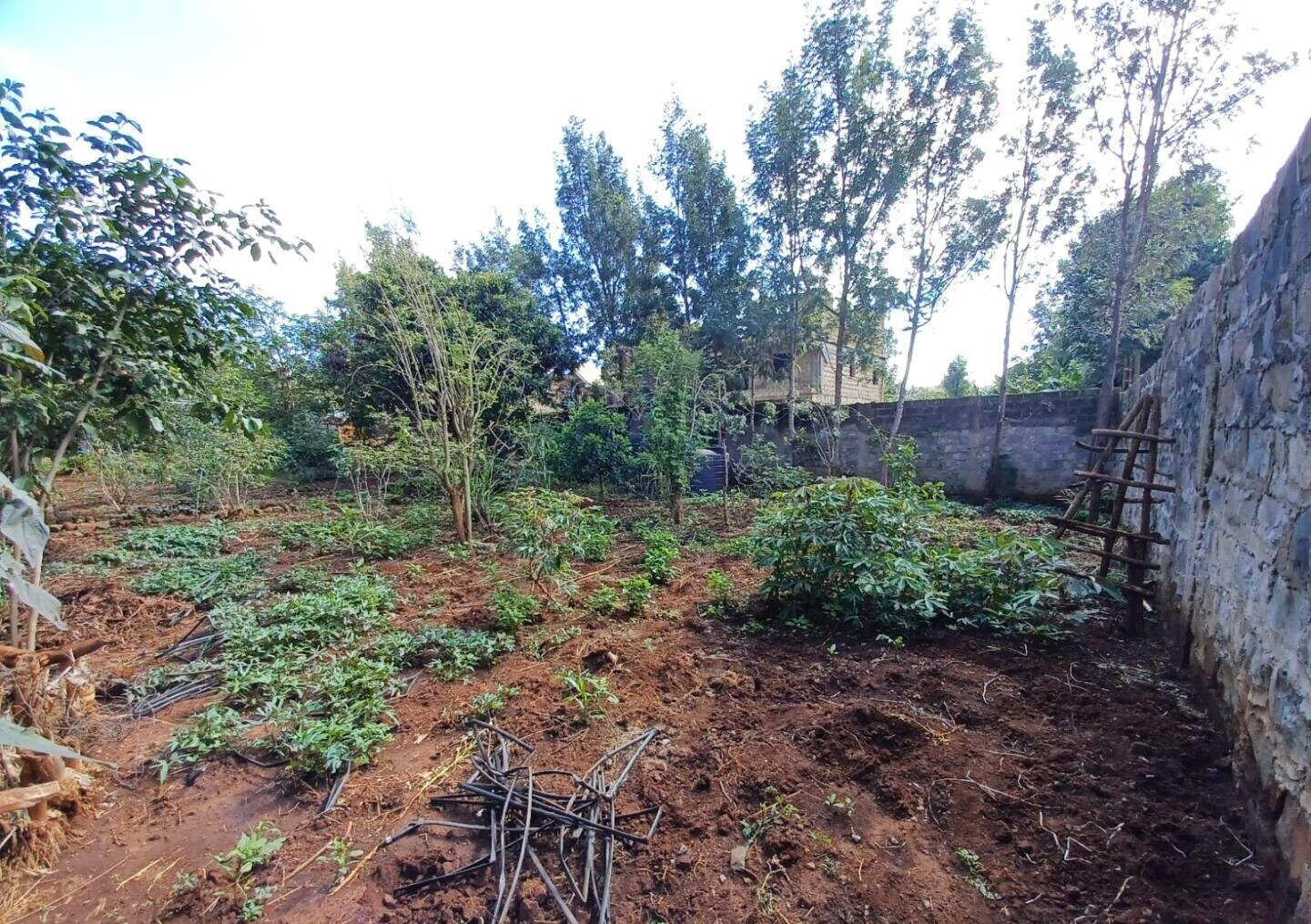 Quarter Acre Plot in Gated Community
