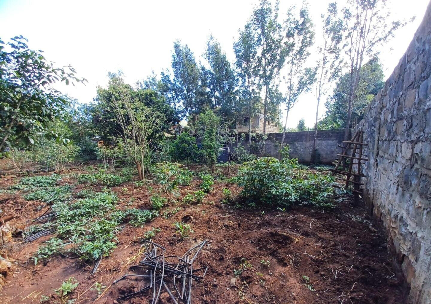 Quarter Acre Plot in Gated Community