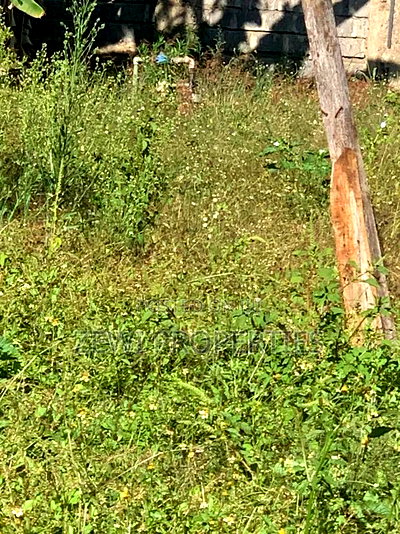 Half Acre Cianda Kiambu - Image 3