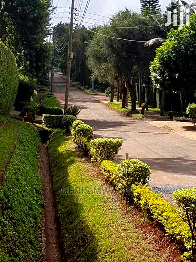 Half an Acre Land for Sale With Ready Title at Mimosa Drive - Image 3