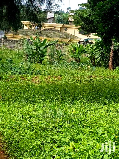 Half an Acre Land for Sale With Ready Title at Mimosa Drive - Image 2