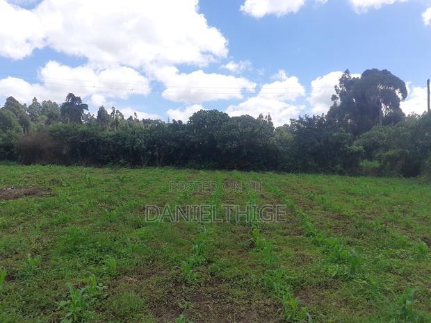 Half Acre Land on Sale in Kikuyu Thamanda in Sigona Ward