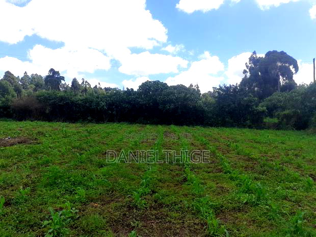 Half Acre Land on Sale in Kikuyu Thamanda in Sigona Ward