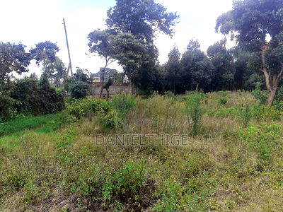 Half Acre Land on Sale in Kikuyu Thamanda in Sigona Ward - Image 5