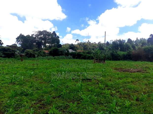 Half Acre Land on Sale in Kikuyu Thamanda in Sigona Ward