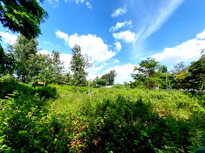 Ridgeway Plot For Sale - Image 2