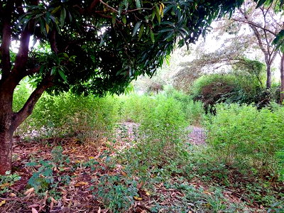 Ridgeway Plot For Sale - Image 3