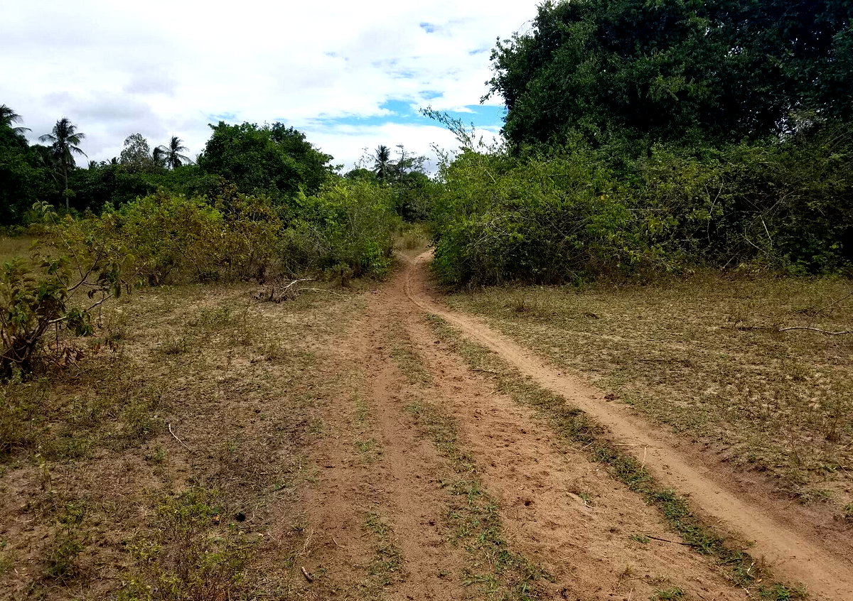 2-Acre Ukunda Plot for KSh 3M