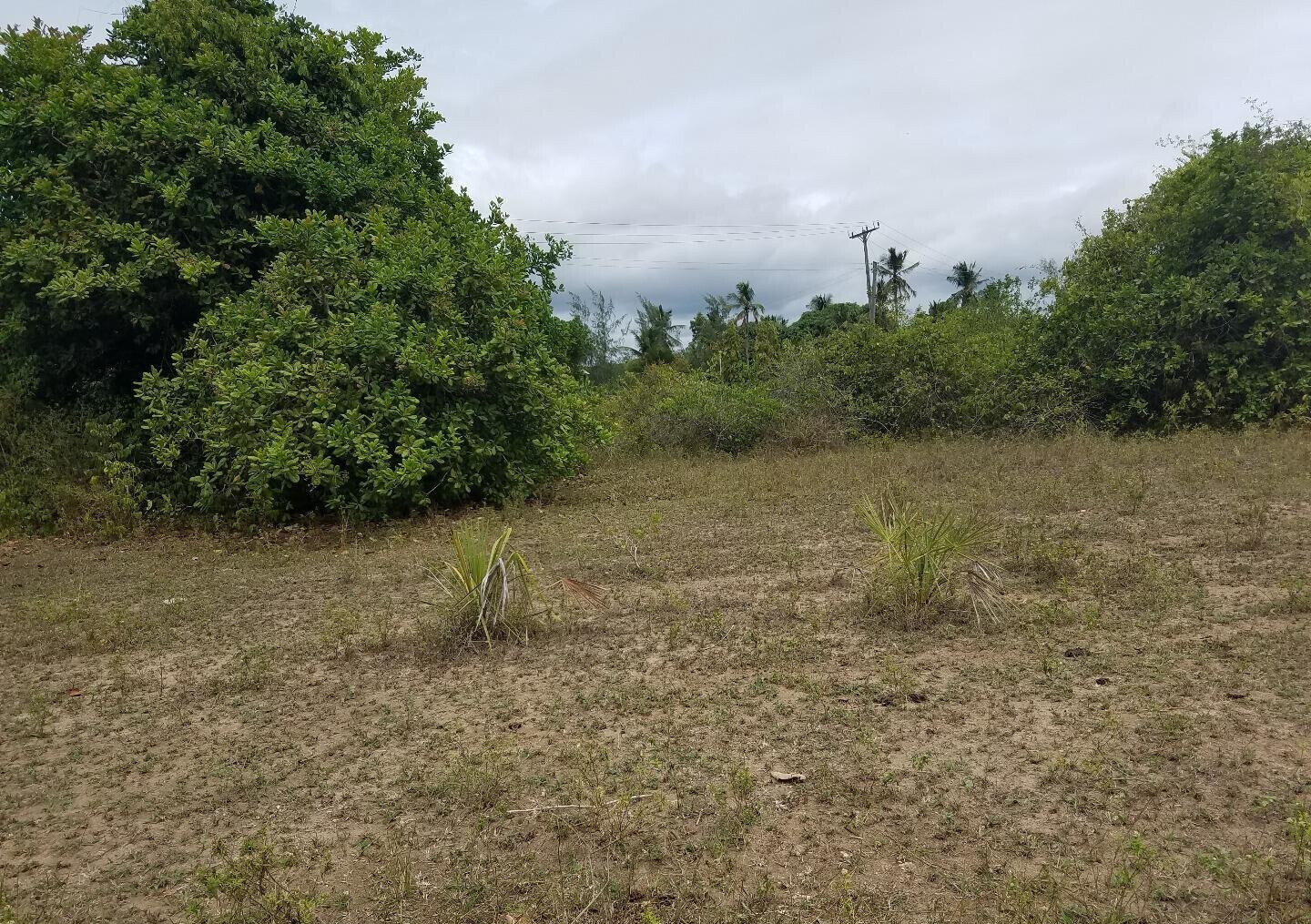 2-Acre Ukunda Plot for KSh 3M