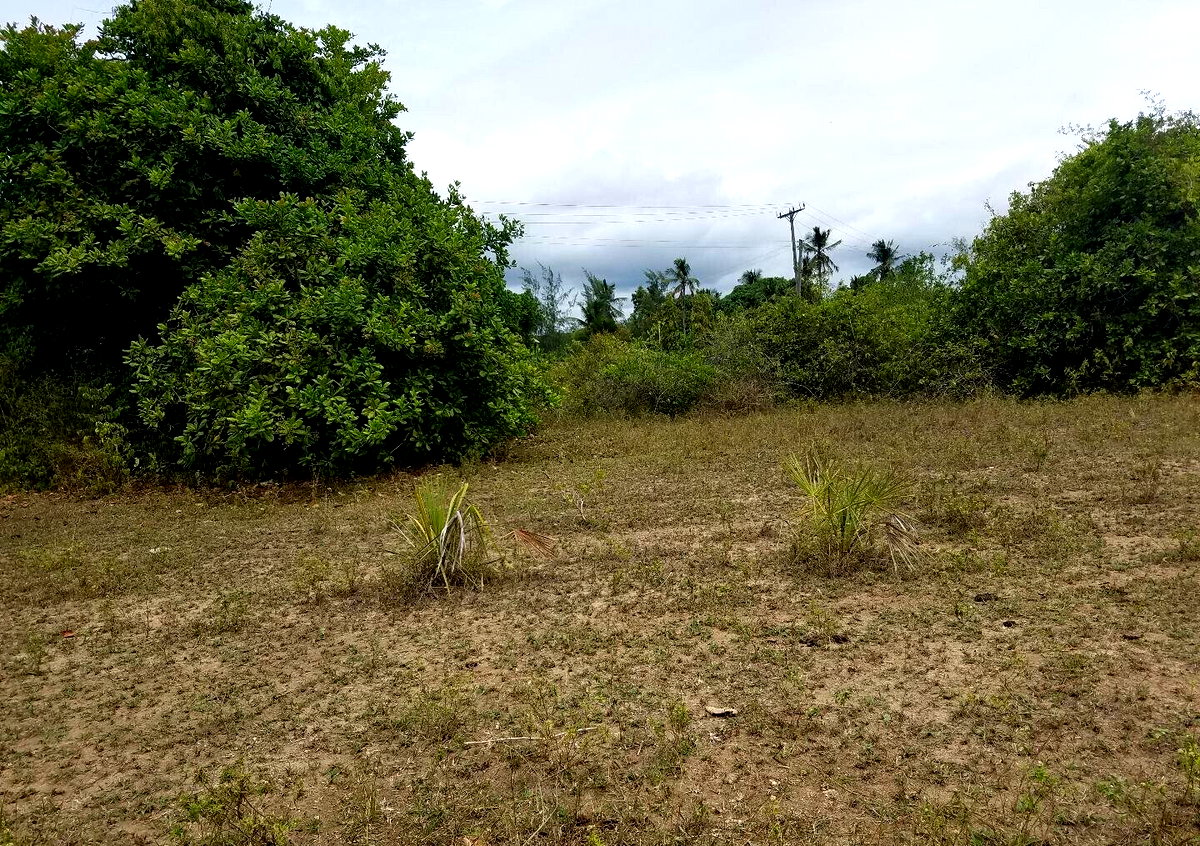 2-Acre Ukunda Plot for KSh 3M