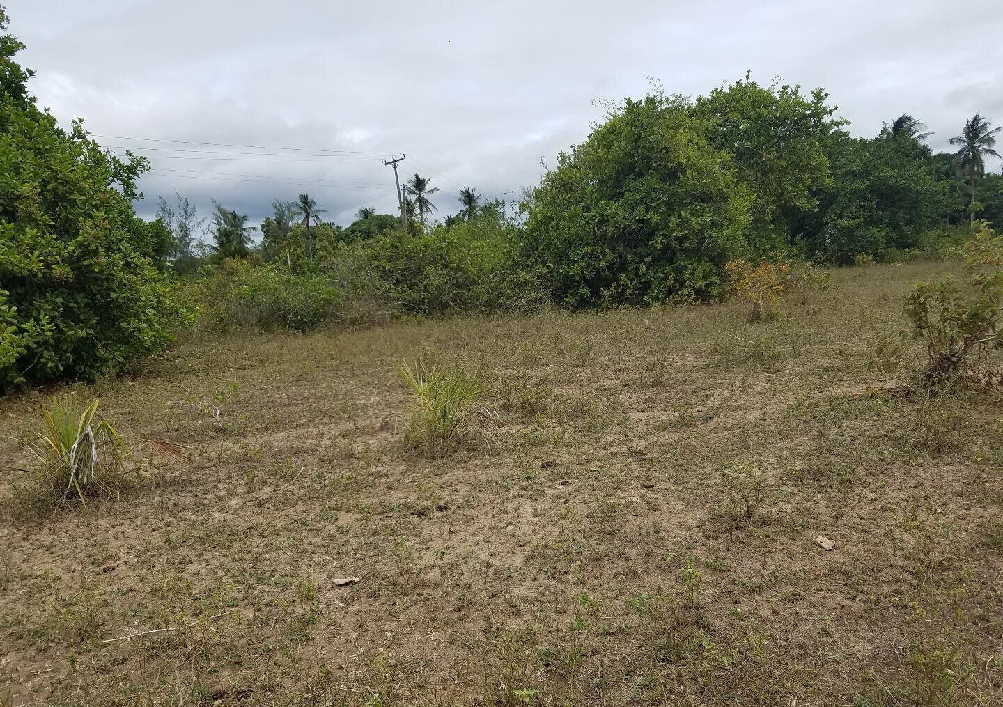 2-Acre Ukunda Plot for KSh 3M