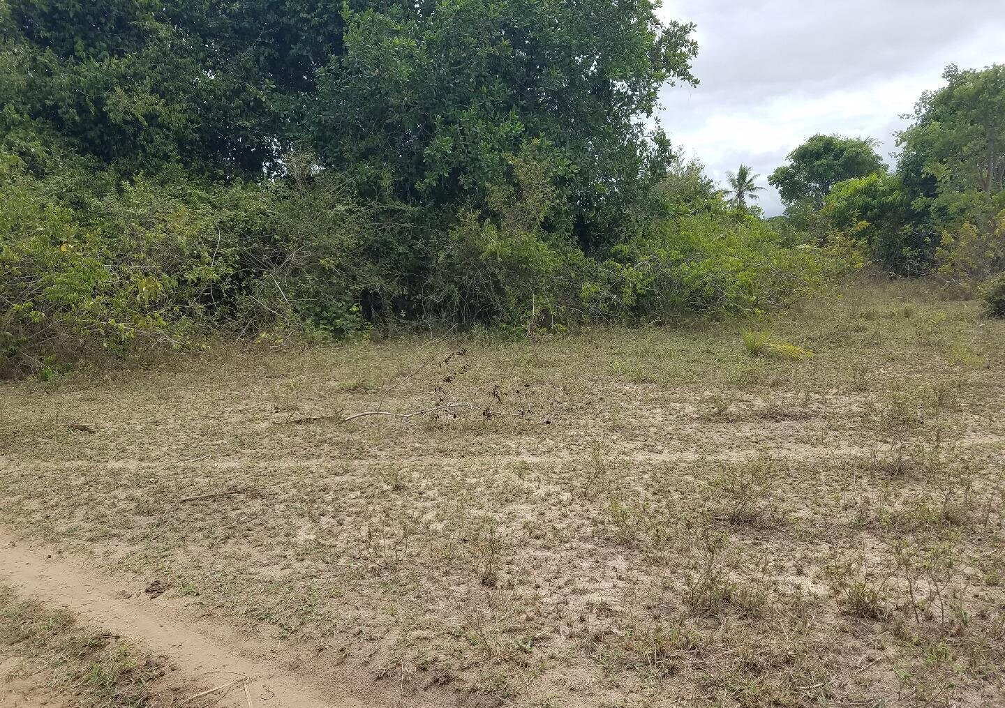 2-Acre Ukunda Plot for KSh 3M