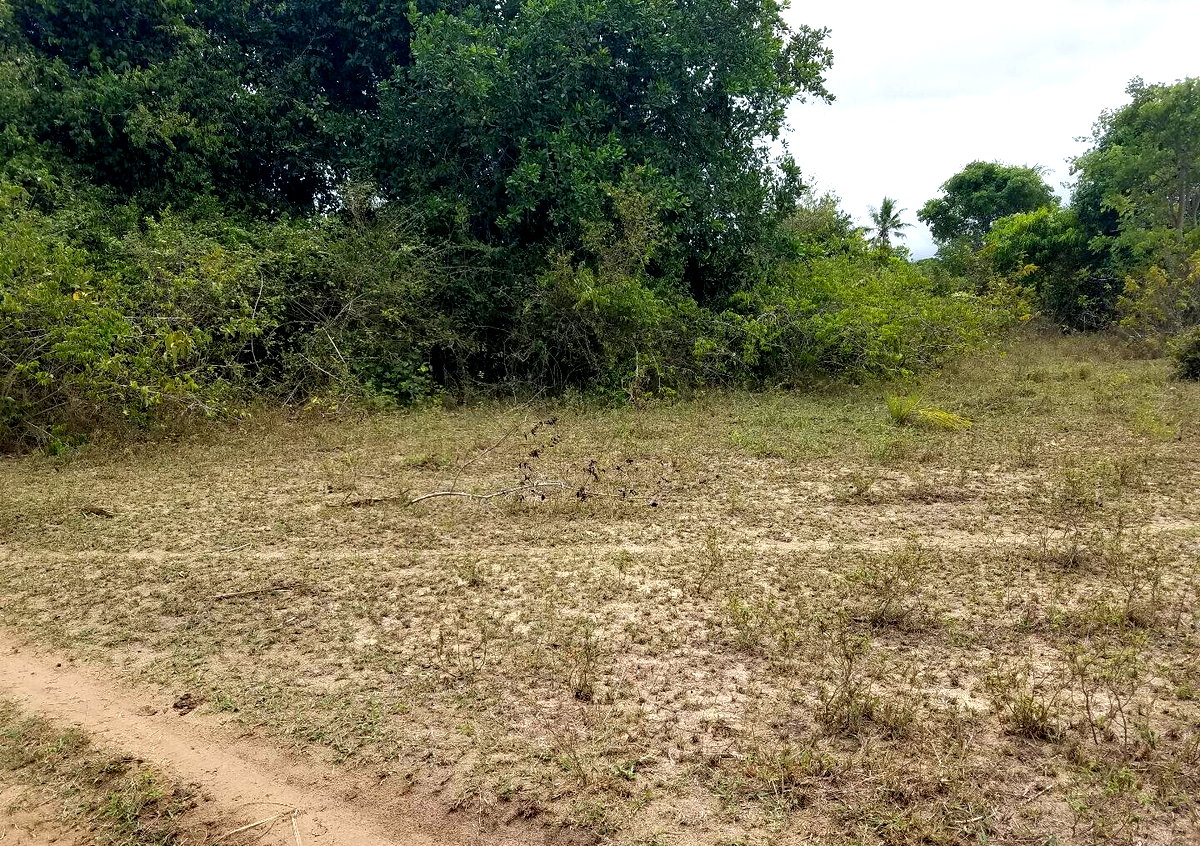 2-Acre Ukunda Plot for KSh 3M