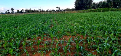 1 Acre Land for Sale in Chepkoilelkapndani in Eldoret - Image 1