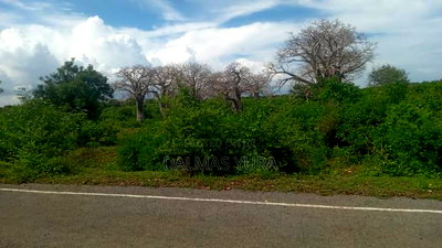 An Acre Land in Kilifi - Image 2