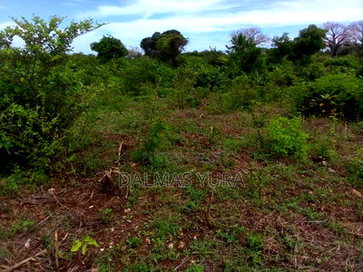 An Acre Land in Kilifi - Image 3