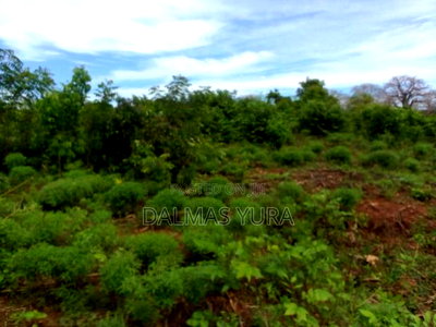 An Acre Land in Kilifi - Image 1