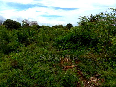An Acre Land in Kilifi - Image 4