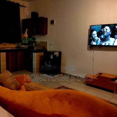 Furnished 1bdrm Apartment in Pride Apartment for rent - Image 3