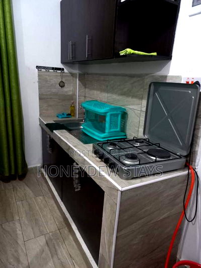 Furnished 1bdrm Apartment in Pride Apartment for rent - Image 4