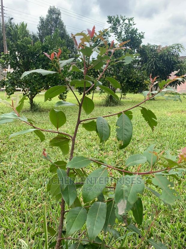 5bdrm Townhouse/Terrace in Kasphat, Kiambu / Kiambu for sale