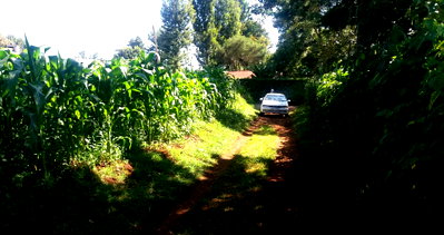 Under 2M Plot in Wangige