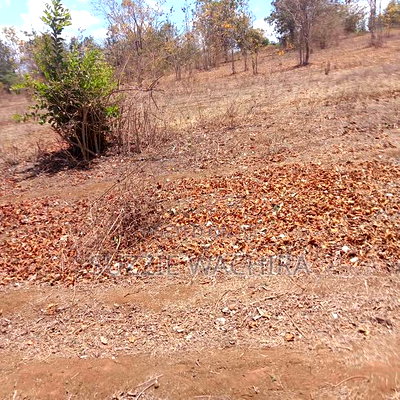 Makutano at Mwea Plots for Sale at 550,000 in Kirinyaga - Image 1