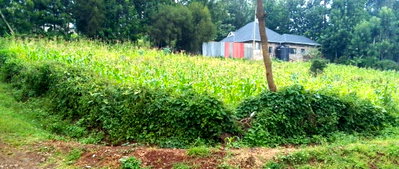 Quarter Acre in Kibiko at KSh 5.5M