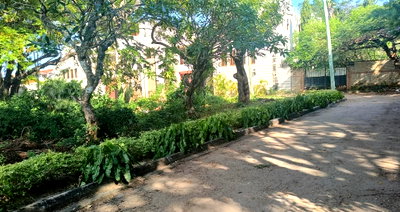0.36 Acre Plot with Garden in Nyali