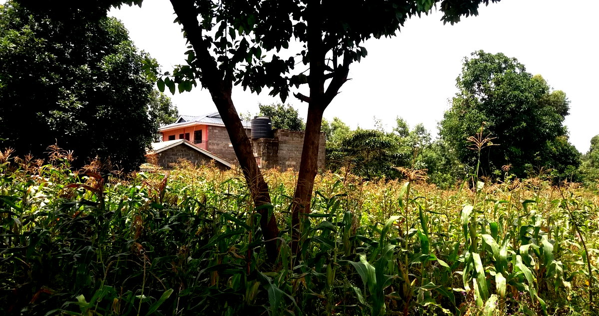 Quarter Acre Plot with Garden in Kabete