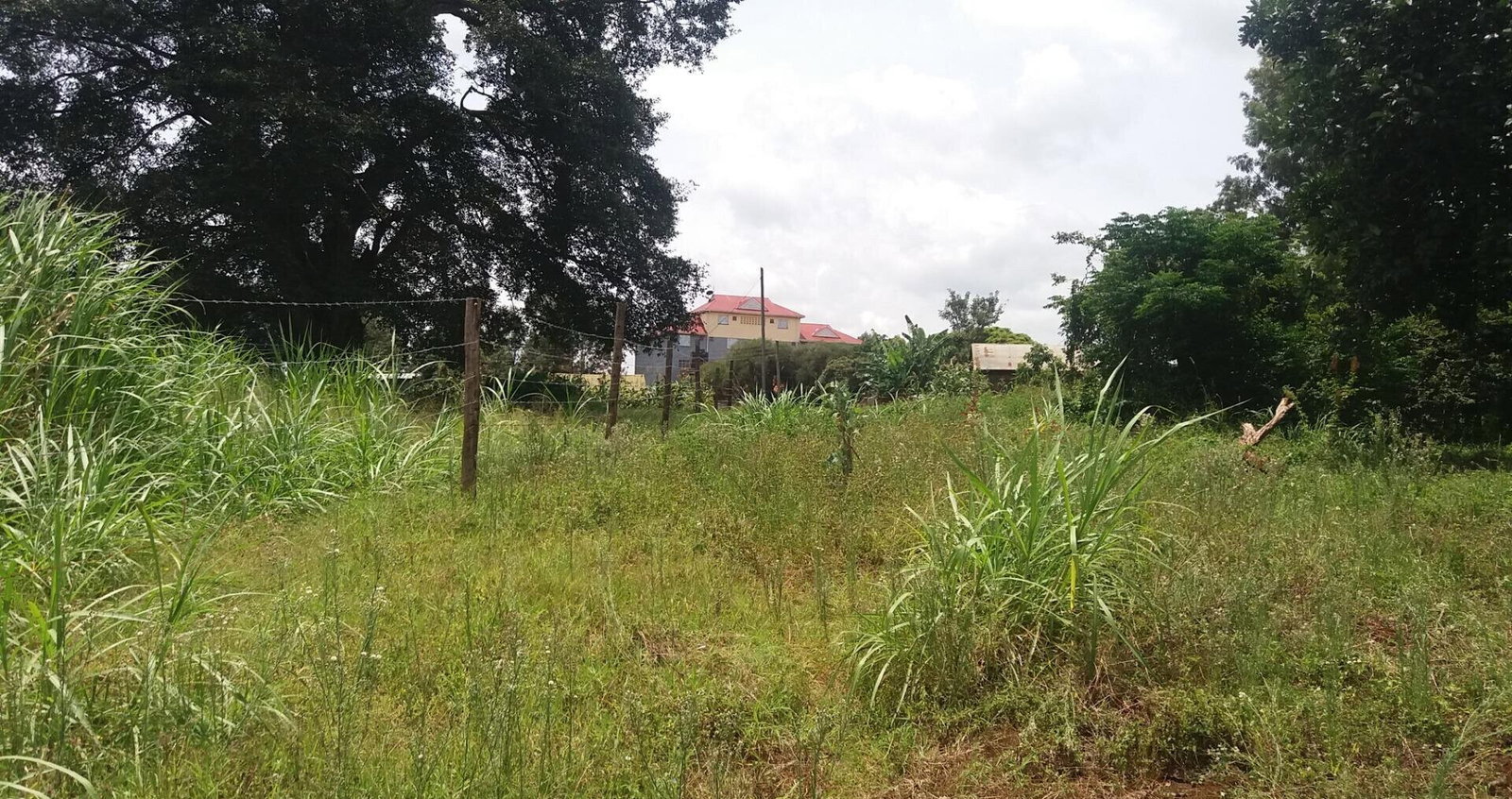 Quarter Acre Plot with Garden in Kabete
