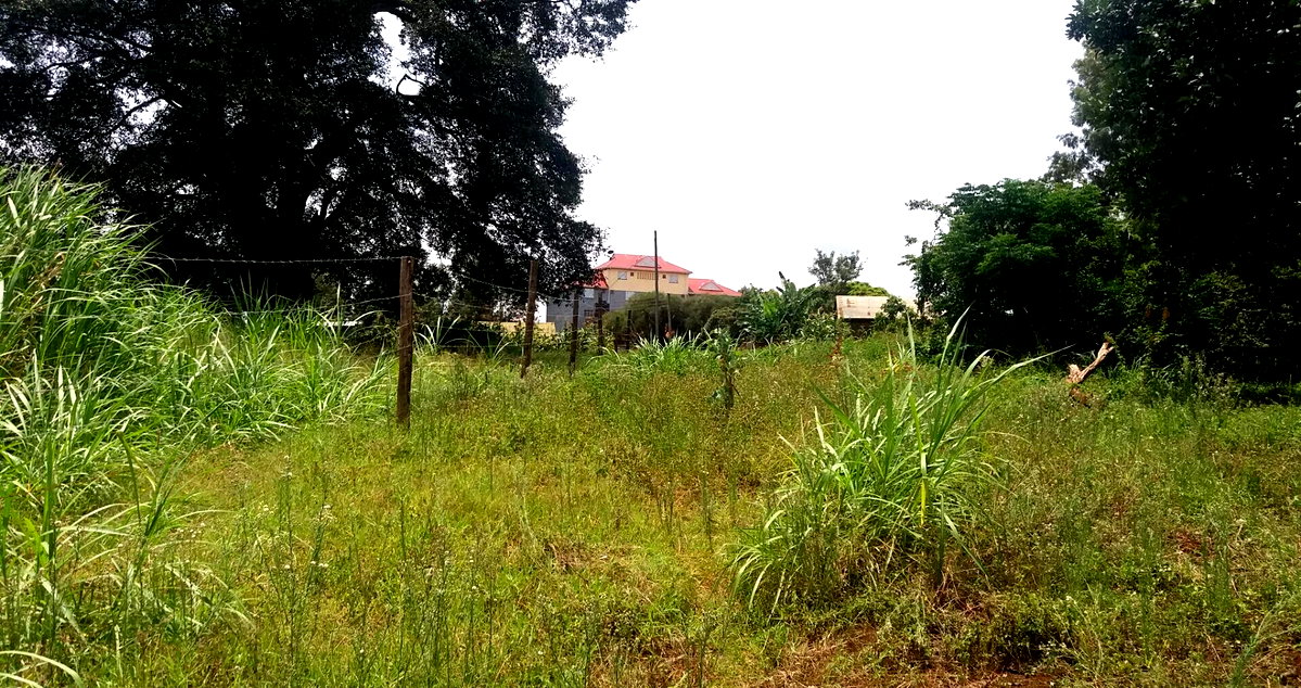 Quarter Acre Plot with Garden in Kabete