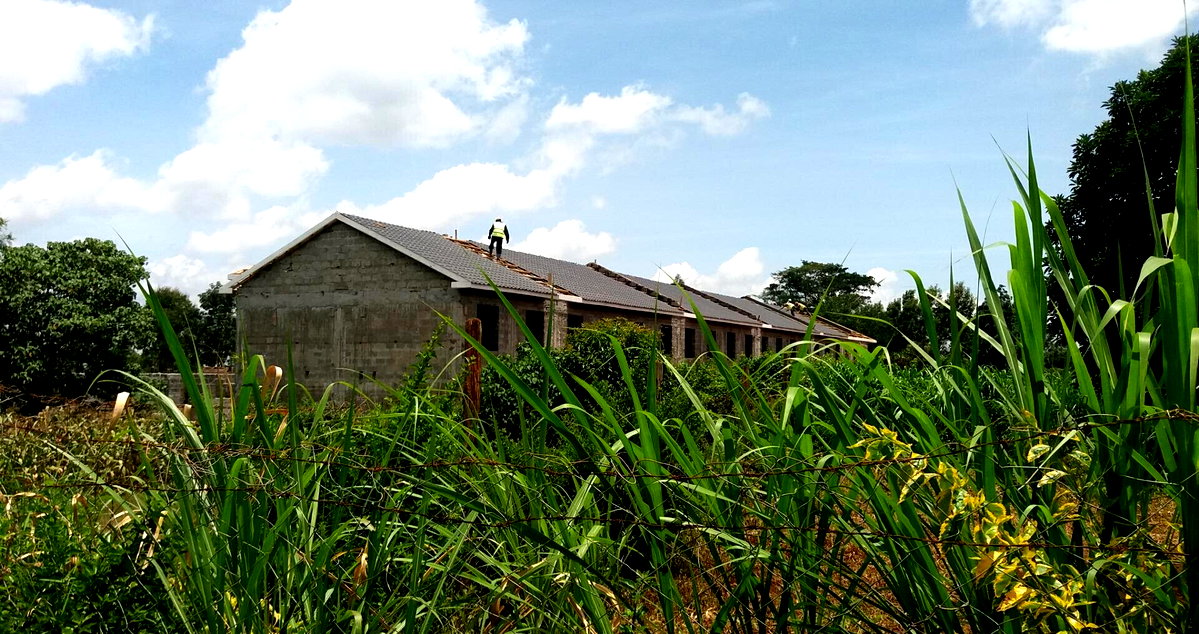 Quarter Acre Plot with Garden in Kabete