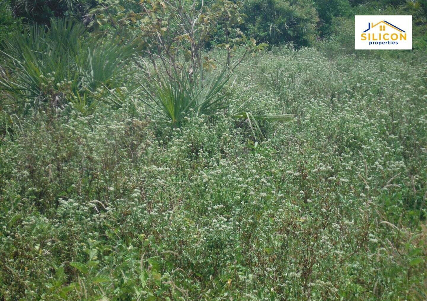 10-Acre Plot in Ramisi, Kwale