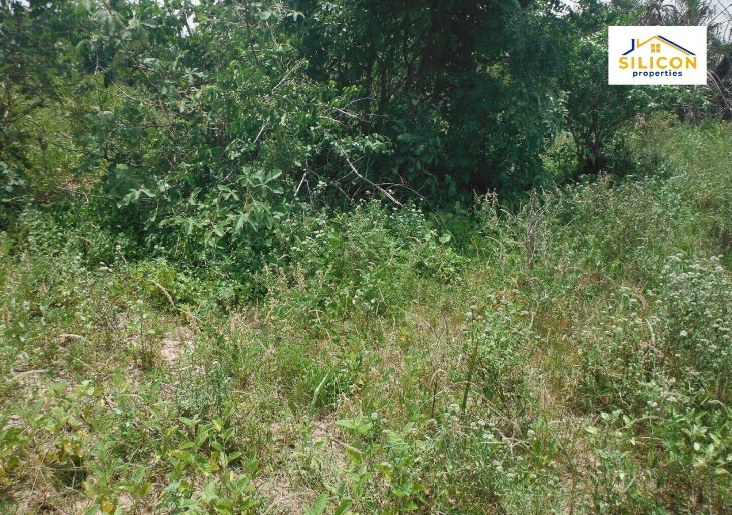 10-Acre Plot in Ramisi, Kwale
