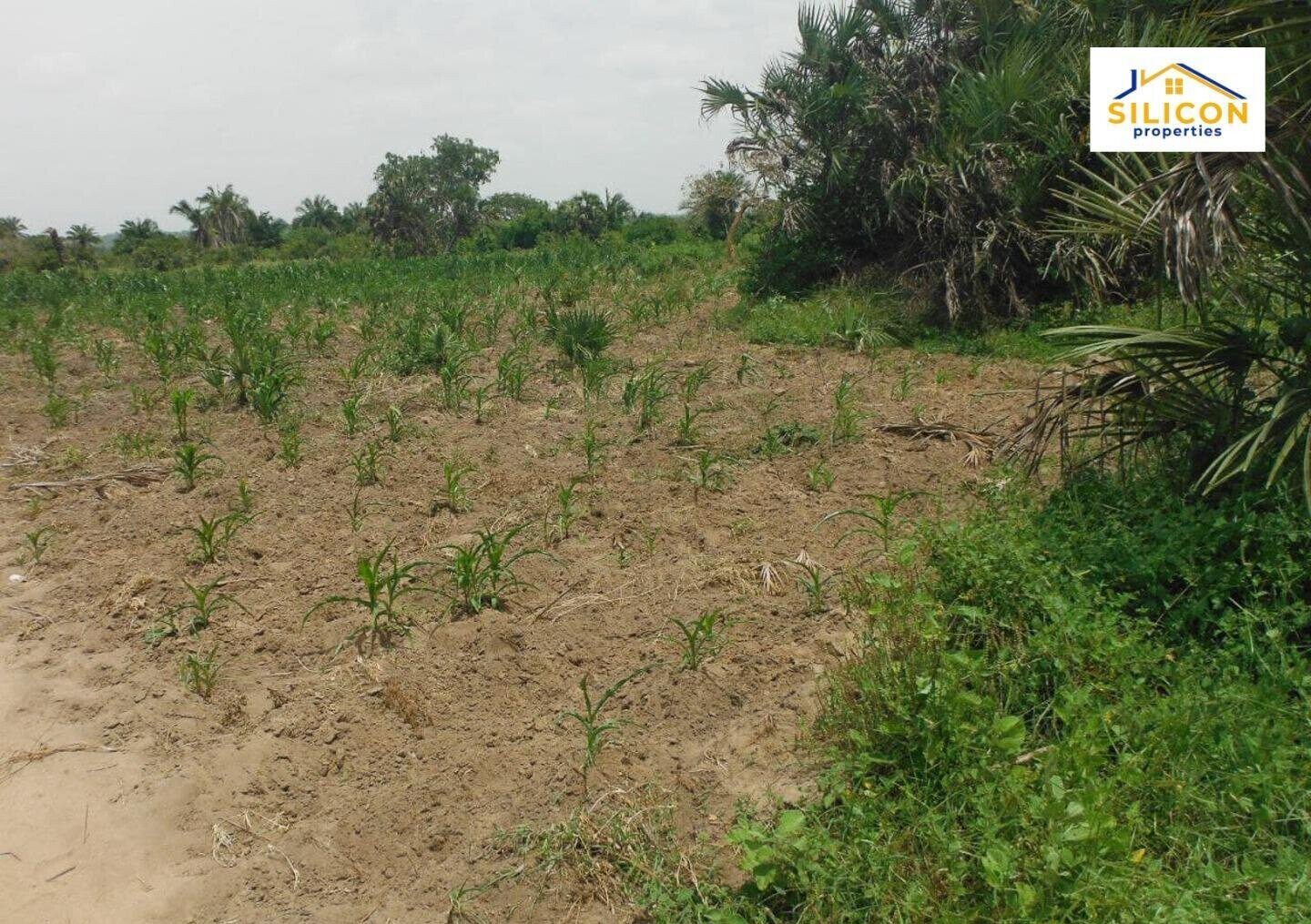 10-Acre Plot in Ramisi, Kwale