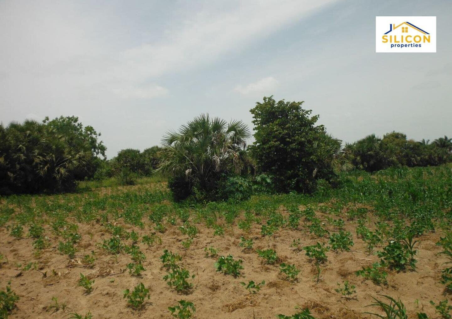 10-Acre Plot in Ramisi, Kwale
