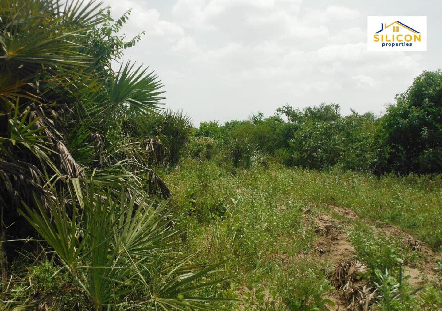 10-Acre Plot in Ramisi, Kwale