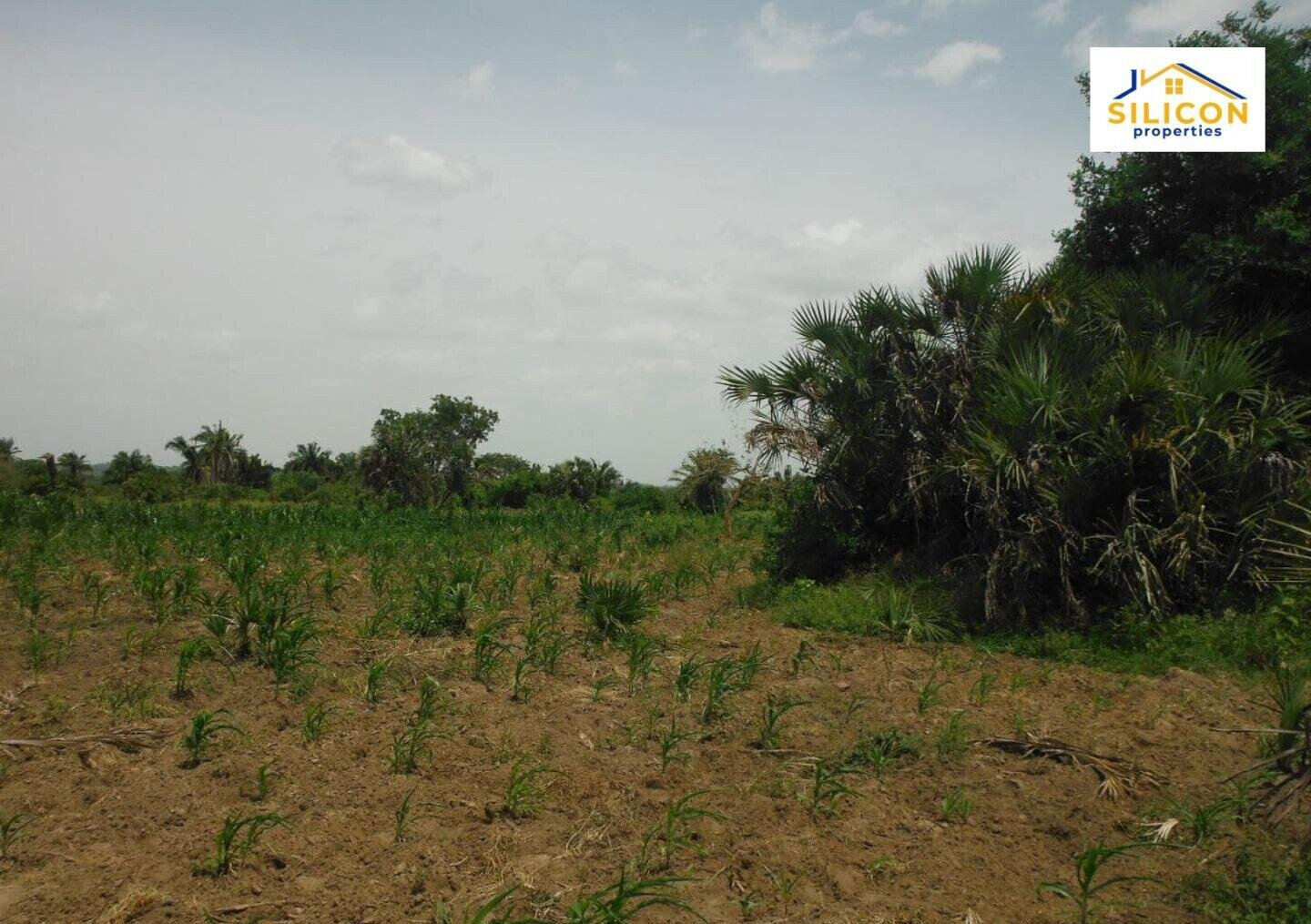 10-Acre Plot in Ramisi, Kwale