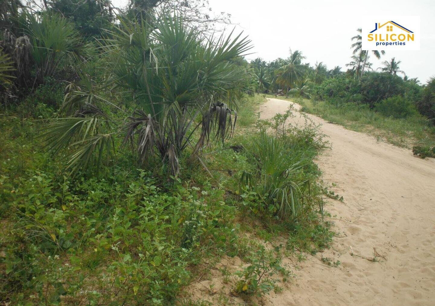 10-Acre Plot in Ramisi, Kwale