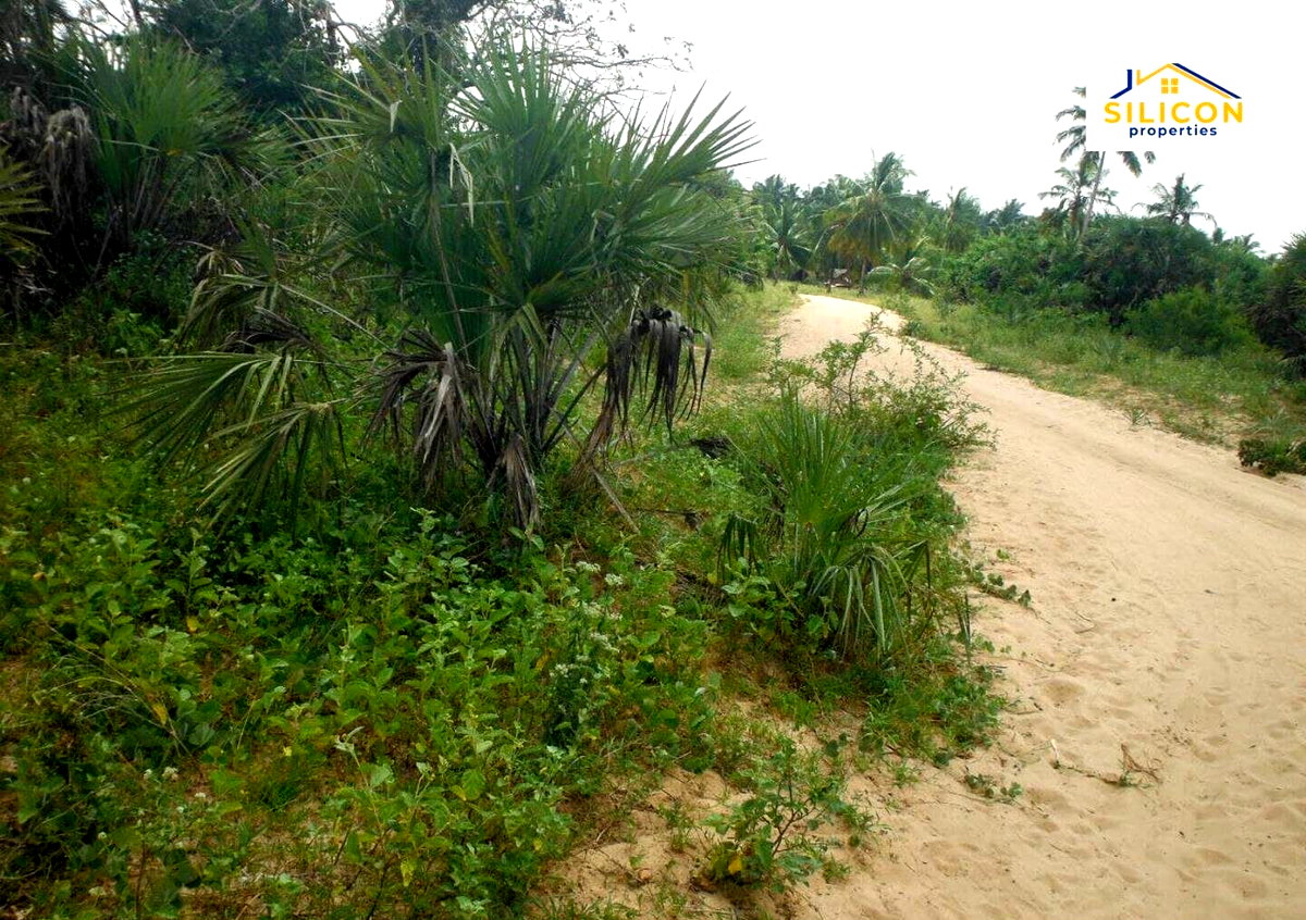 10-Acre Plot in Ramisi, Kwale