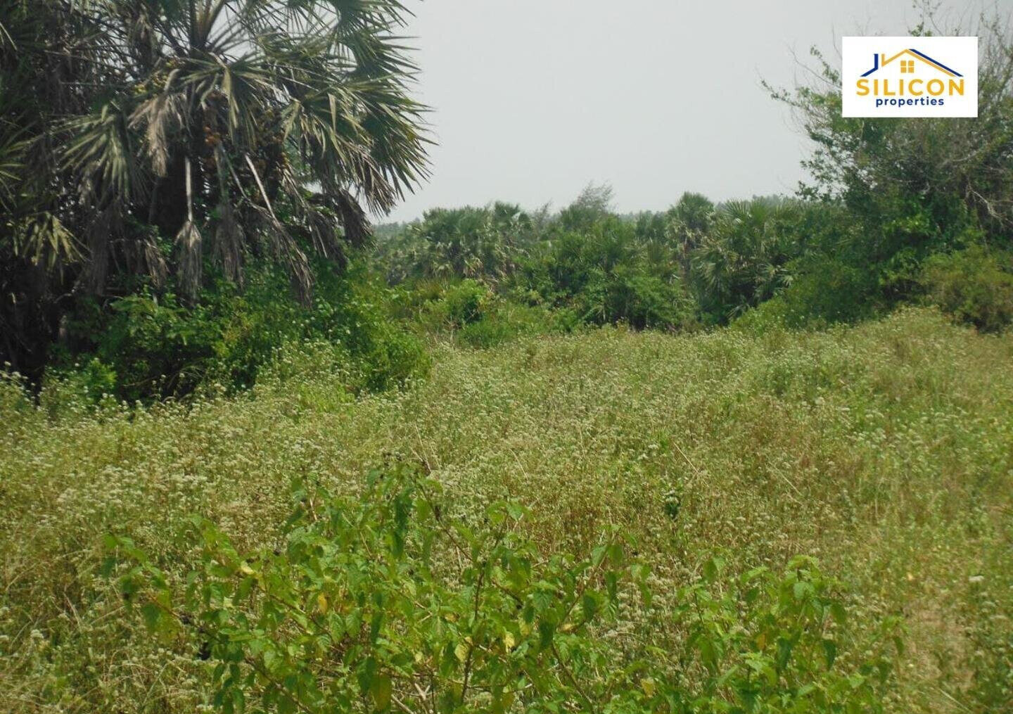 10-Acre Plot in Ramisi, Kwale