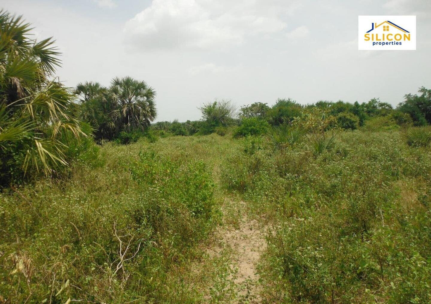10-Acre Plot in Ramisi, Kwale
