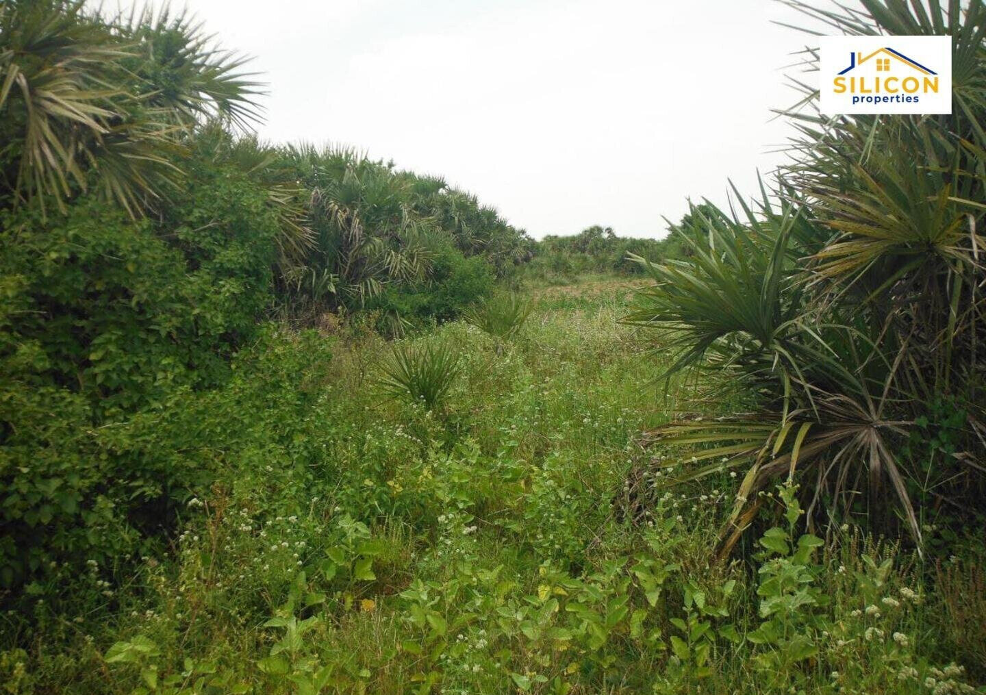 10-Acre Plot in Ramisi, Kwale