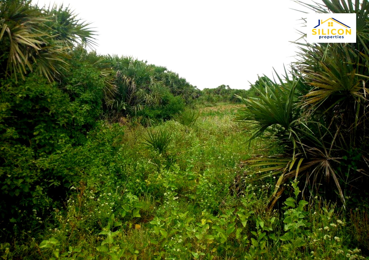 10-Acre Plot in Ramisi, Kwale