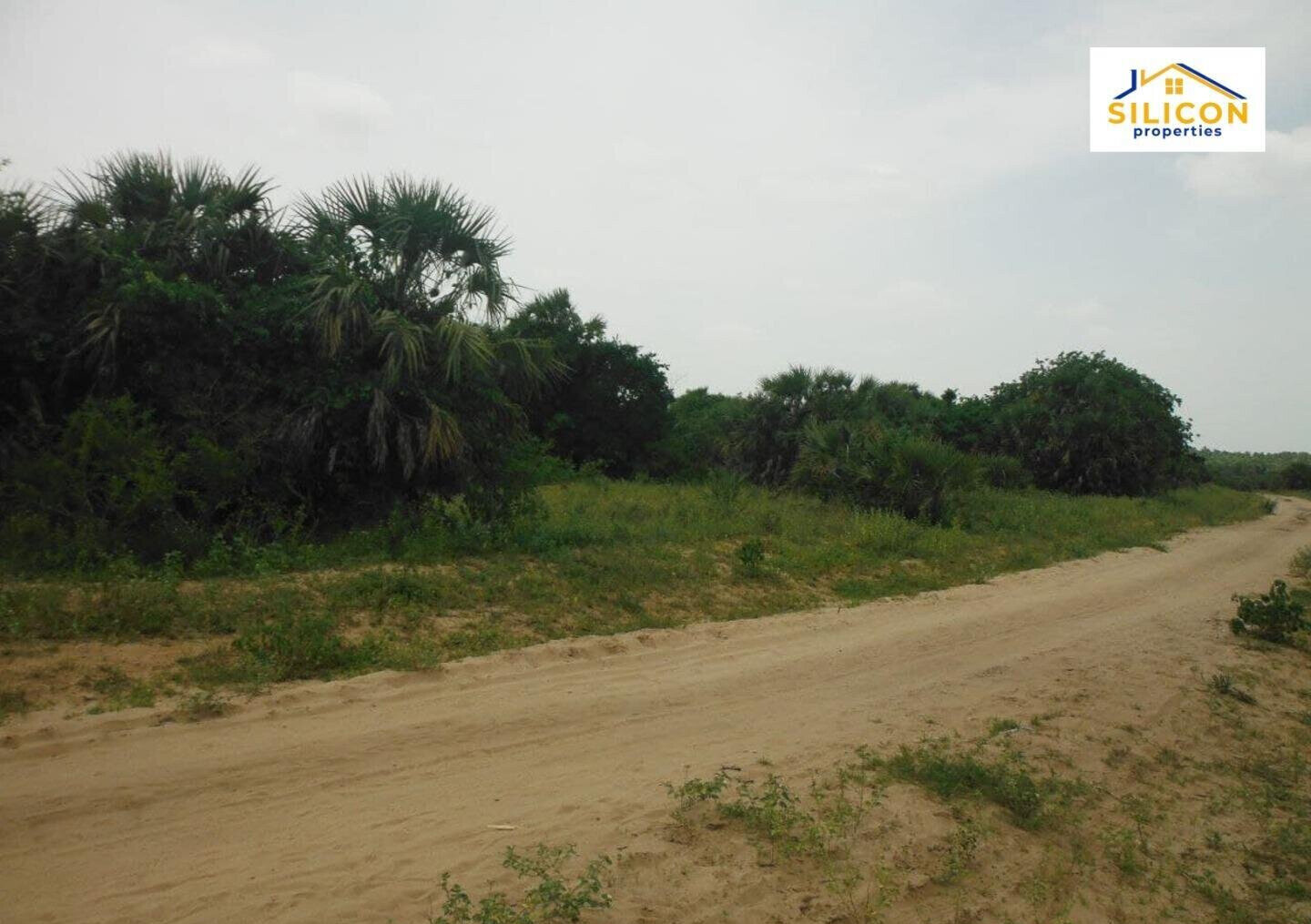 10-Acre Plot in Ramisi, Kwale