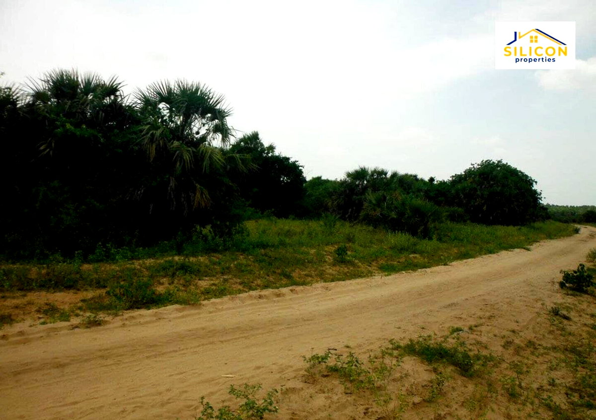 10-Acre Plot in Ramisi, Kwale