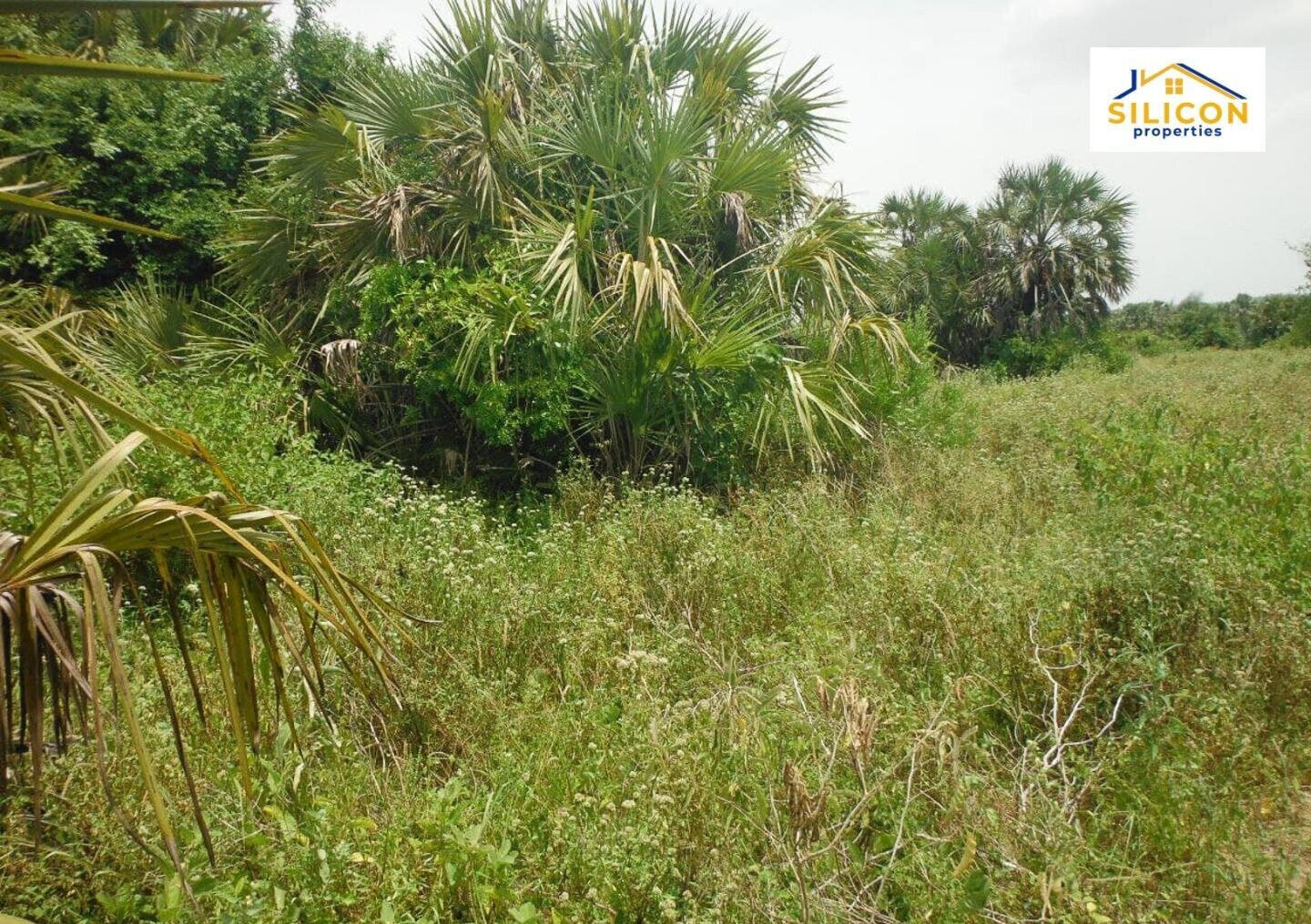10-Acre Plot in Ramisi, Kwale
