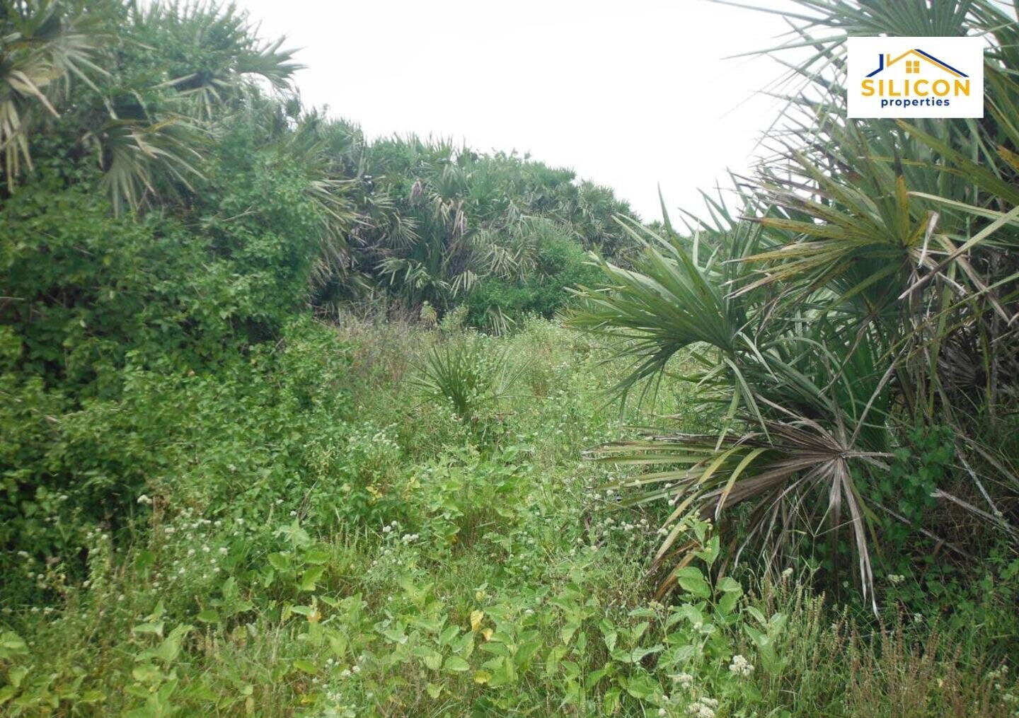 10-Acre Plot in Ramisi, Kwale