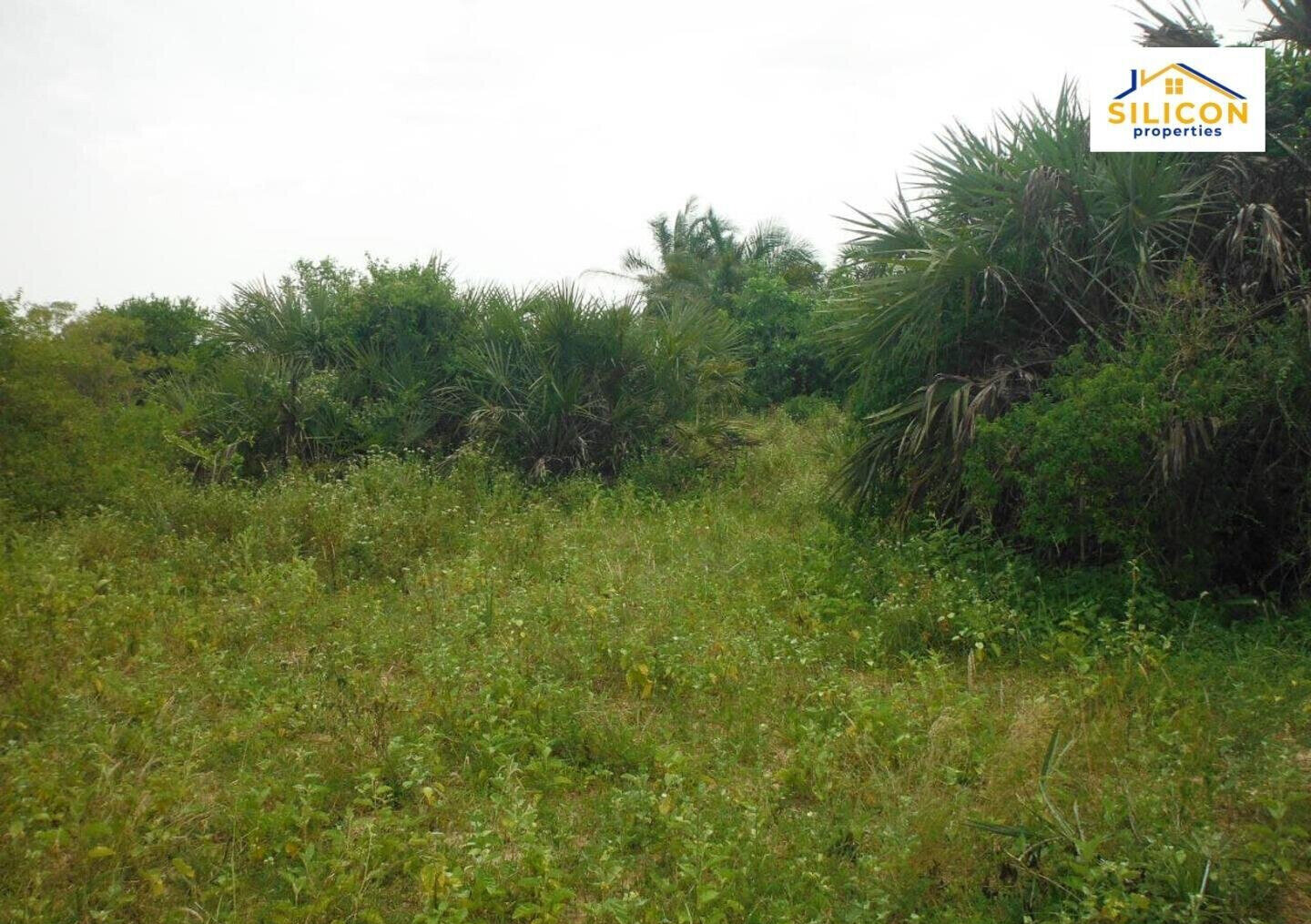 10-Acre Plot in Ramisi, Kwale